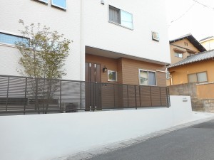 DSCN0156