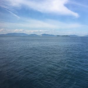 s-2017-06-13 16.19.31