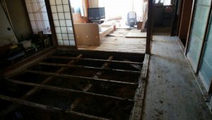 s-IMG-4155