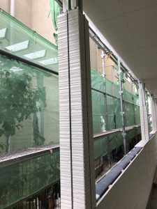 IMG_1151