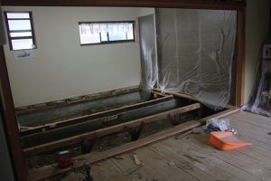IMG_5906-w