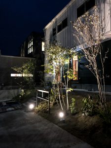 IMG_1265