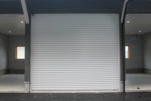 IMG_6596