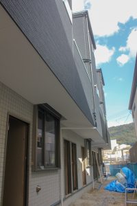 IMG_6952